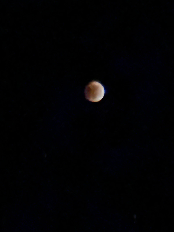 IMG-1198.jpg