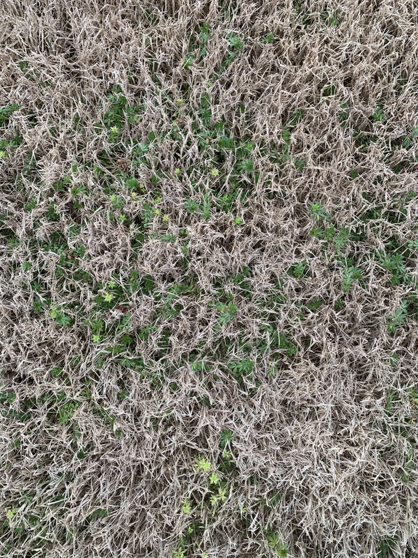 E7E2410D-647E-4199-8B61-793BF079F761