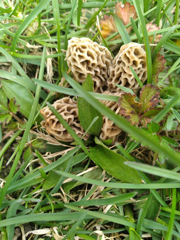 AF91D704-FFEF-416E-8EC5-E00BE827B487