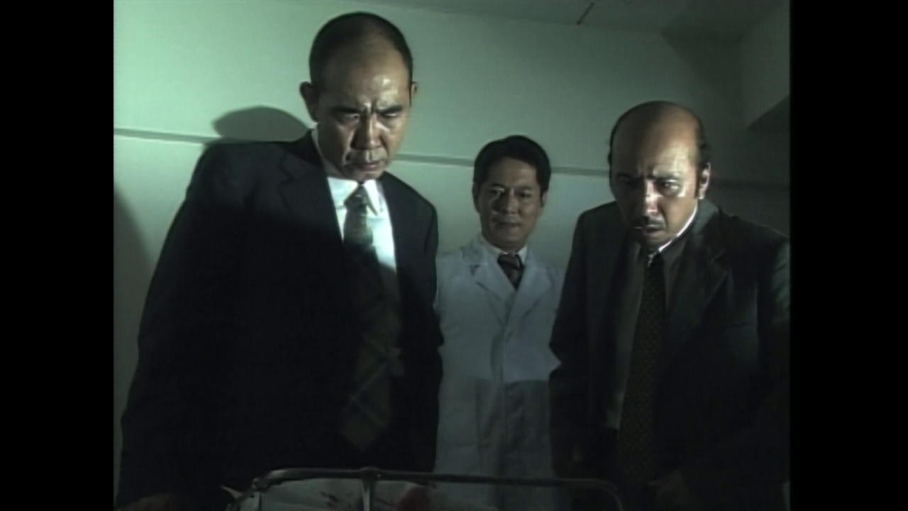 vlcsnap 2026 01 29 18h17m54s157