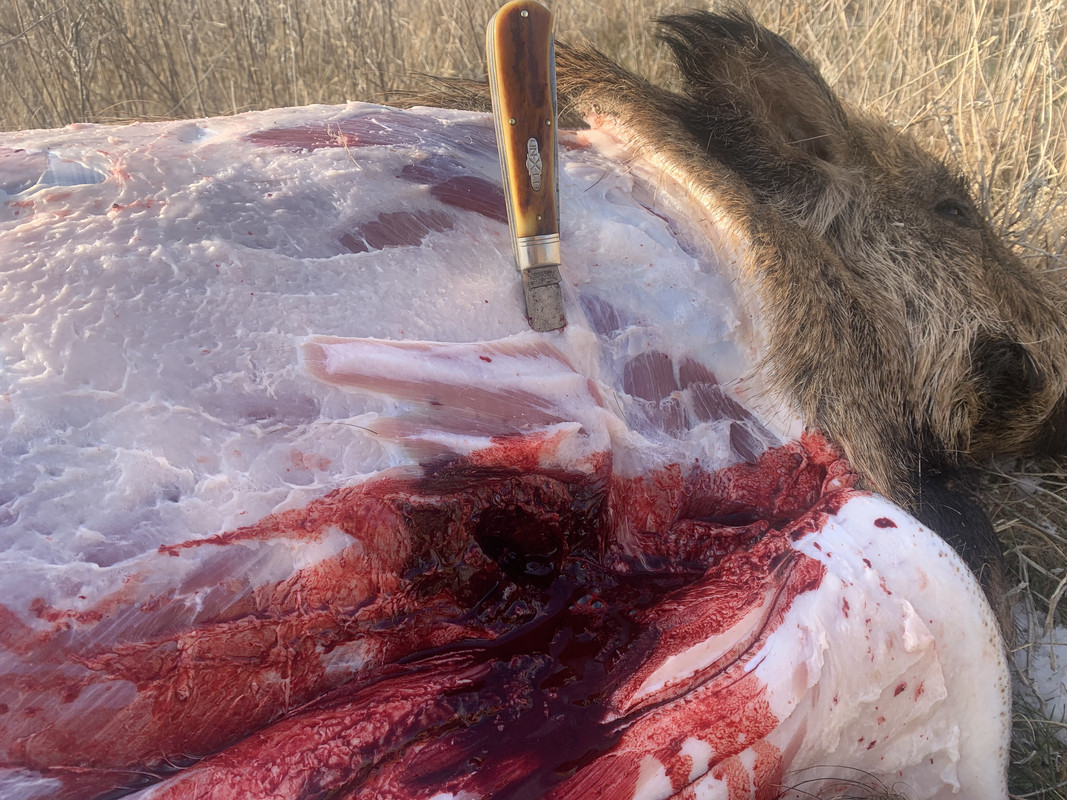 F7EAA35B-38CB-4400-B6D8-1FA208BD6489