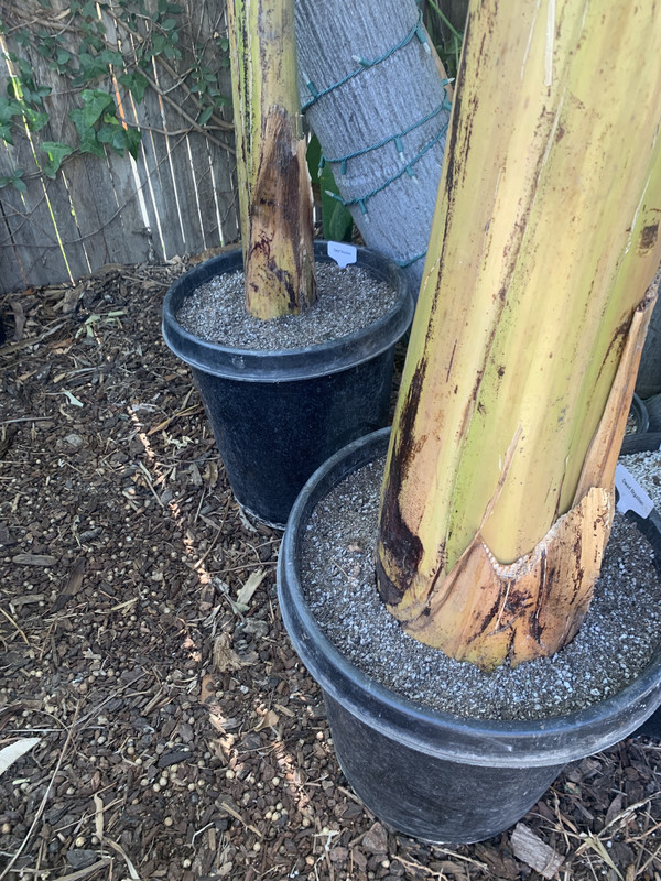 AD8A3DF4-61C2-4033-A679-C352CE45BE27