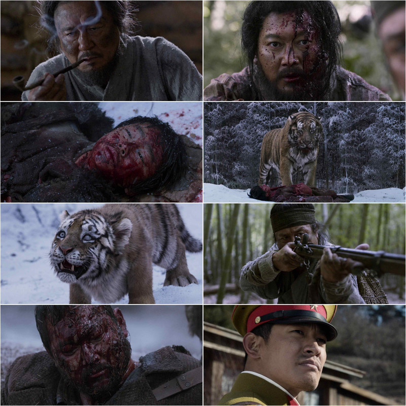The Tiger (2015) Dual Audio [Hindi & Korean] Full Movie BluRay ESub screenshot