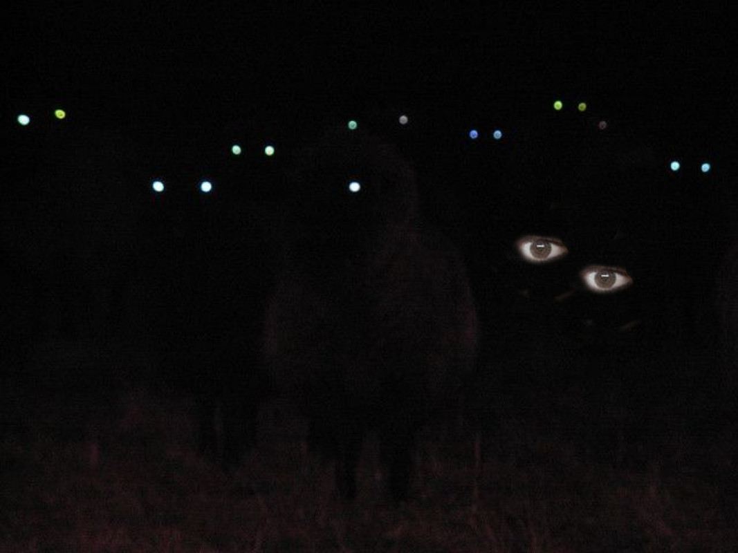 Picsart_23-09-07_11-46-33-829