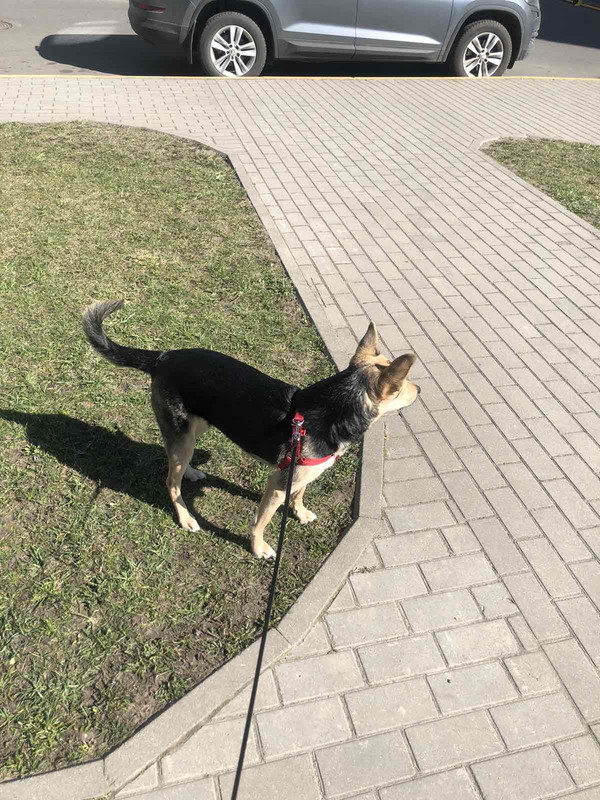 27712986-682E-4198-8B61-FA8BE1370239