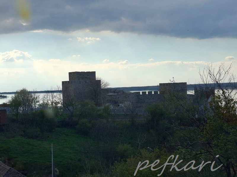 Slika