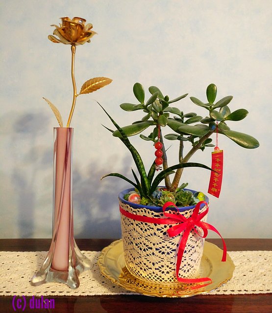 [Image: IMG-20240207-165048.jpg]