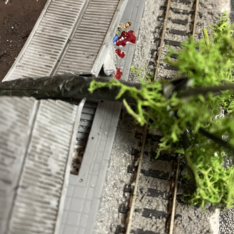 05793057-4379-4955-8E76-94EA70DBE23F