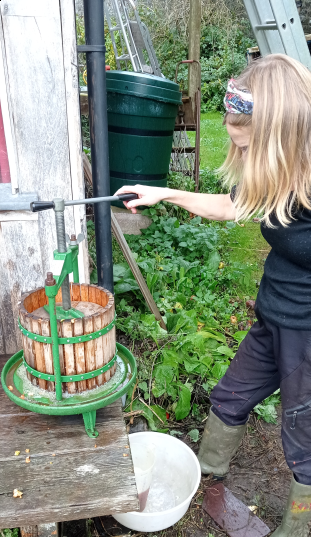 2022-12-02-155433_311x537_scrot