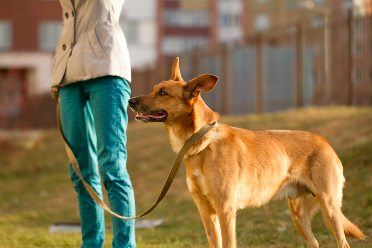 без имени-5380