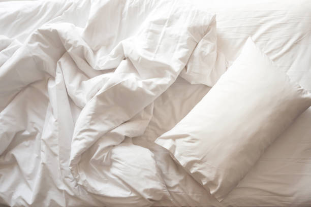 vansilkhome