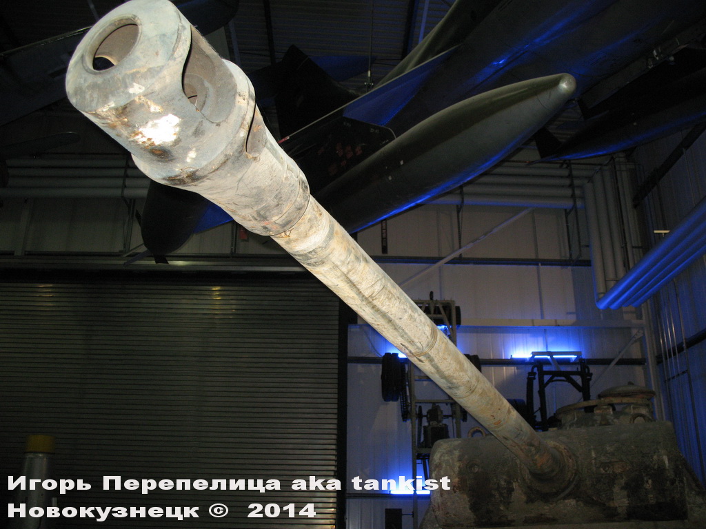 Panther_Sinsheim_002