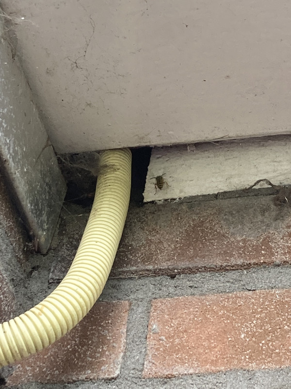 5C6F5F7E-599D-462F-820F-58FB38583931