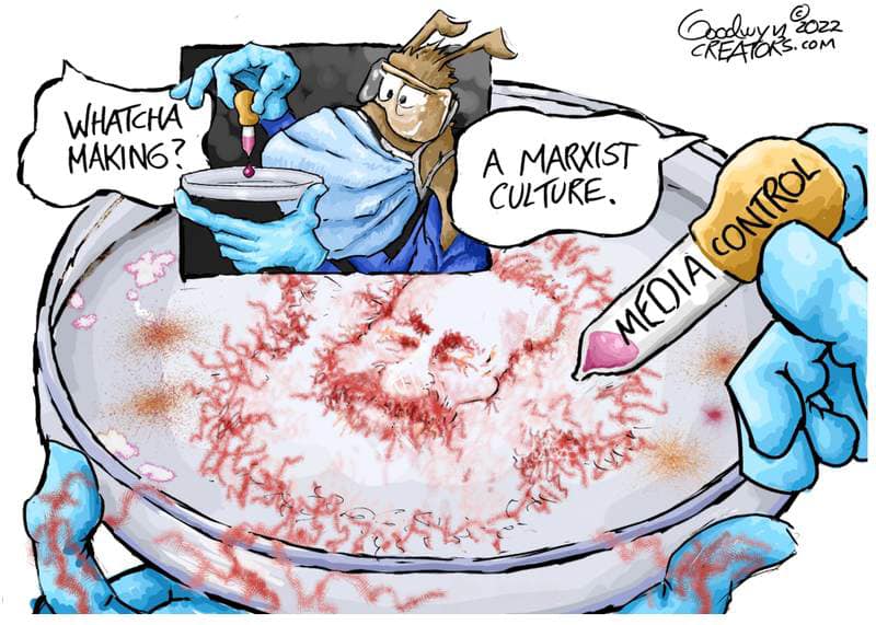 319293671-10159020605931937-4411573669012712318-n