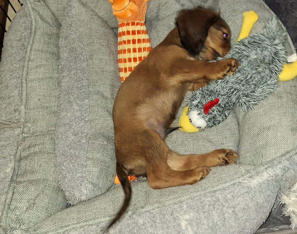 [Image: 20240906-184807.jpg]