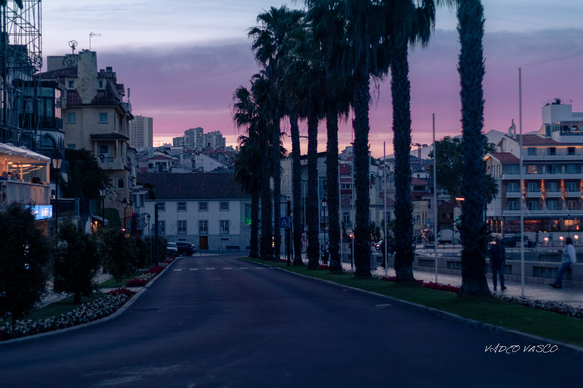 HIve-Cascais-sunset-marina-12.jpg