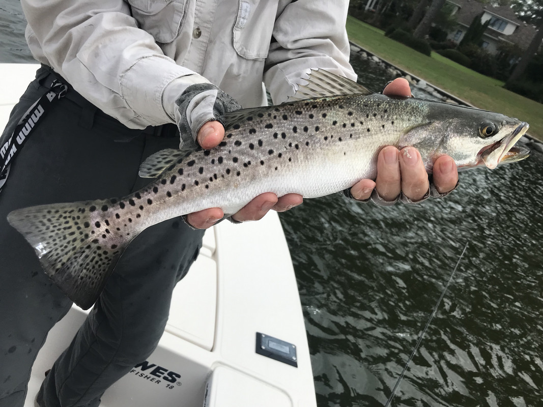 Ztnsa52rSEGiS%y PzLkLQ