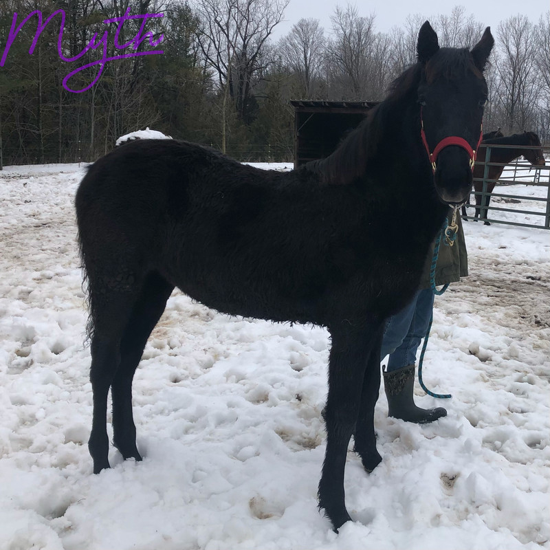 304C9A1E-7A59-41C6-A2D0-2C33E608677E