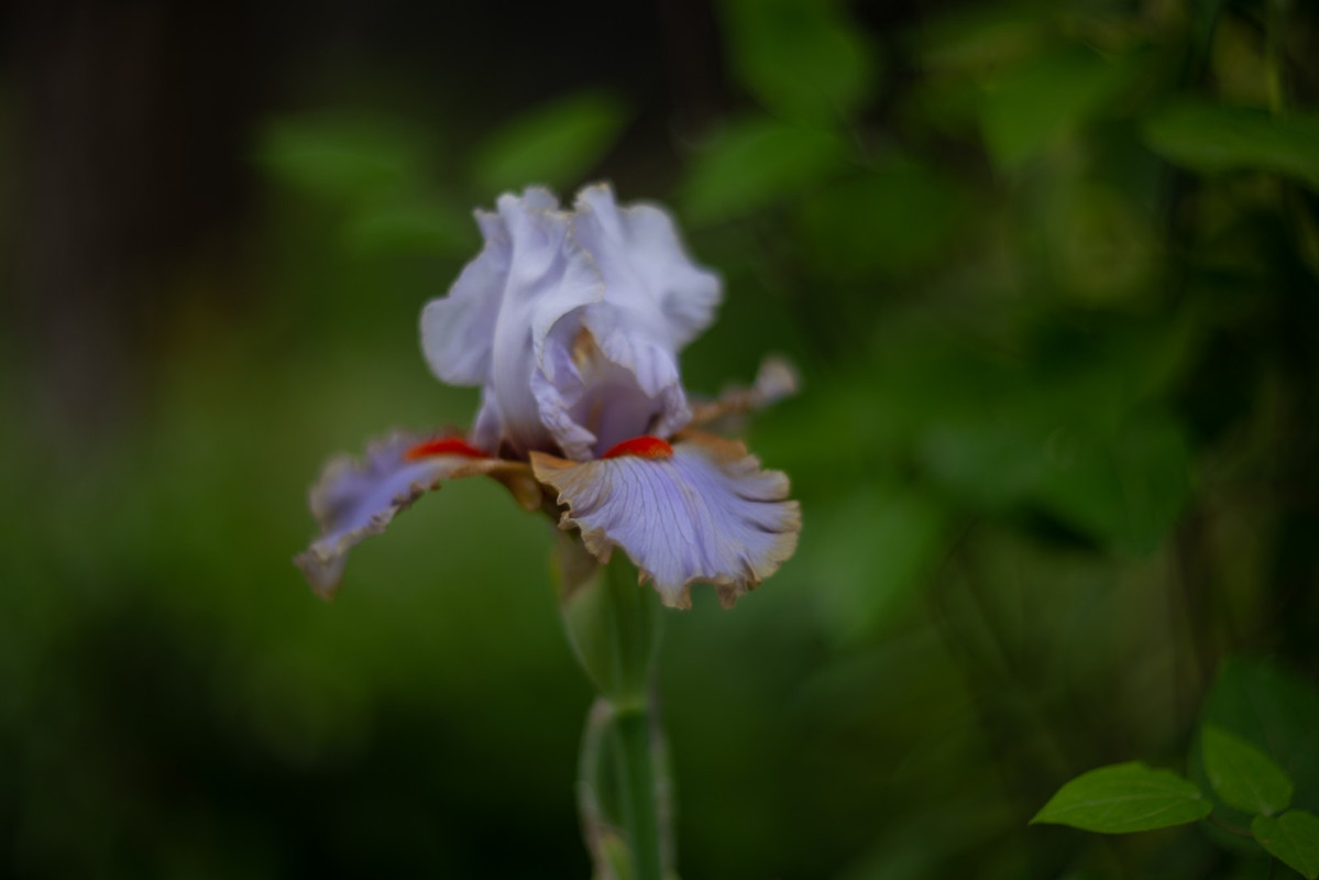 IMG-f025554de883a6f2f2064a552d20ac31-V