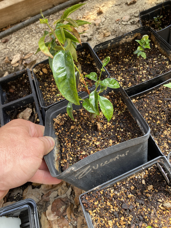 2BF87725-3AAF-4D64-9D9F-433EB264275B