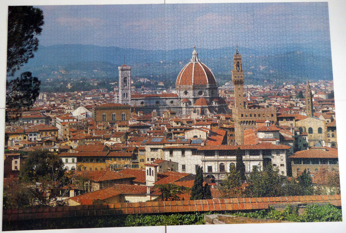 Florencia5000Educa