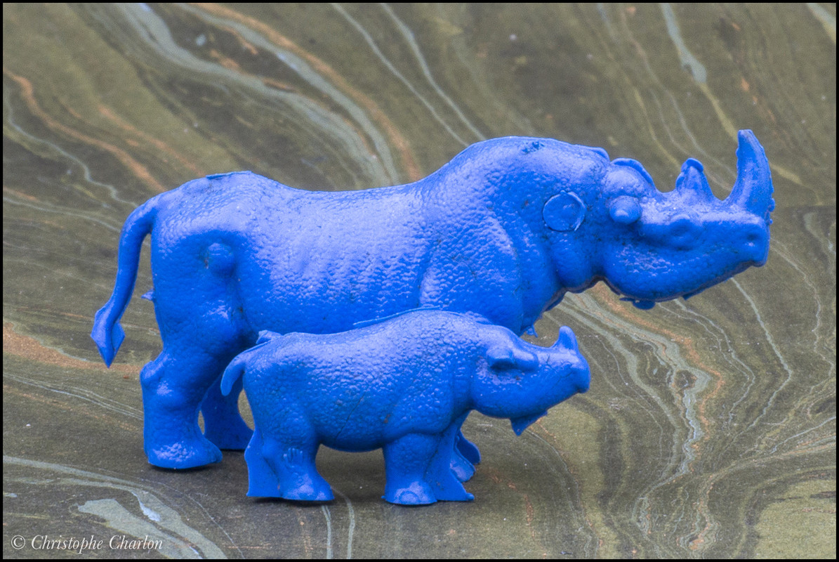 Back in CCCP: A blue savannah and other rubber animals CCCP-Black-rhino-4