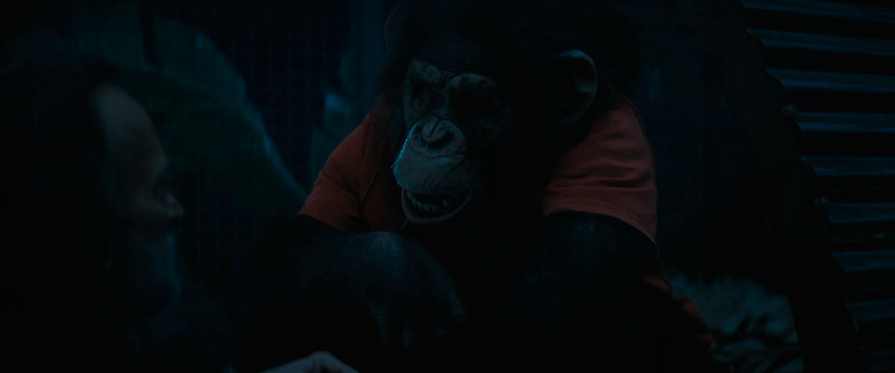 Primate (2026) 1080p 60FPS Latino Inglés mkv snapshot 00 18 21 517
