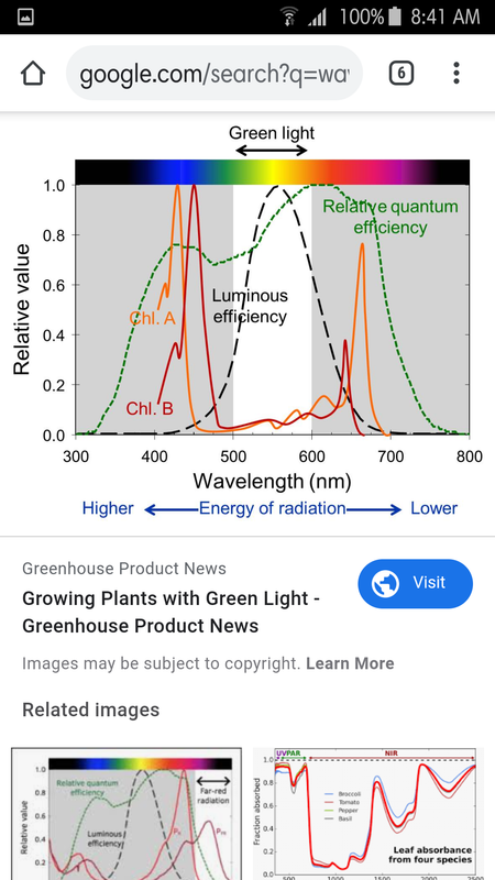 Screenshot_2019-11-15-08-41-41