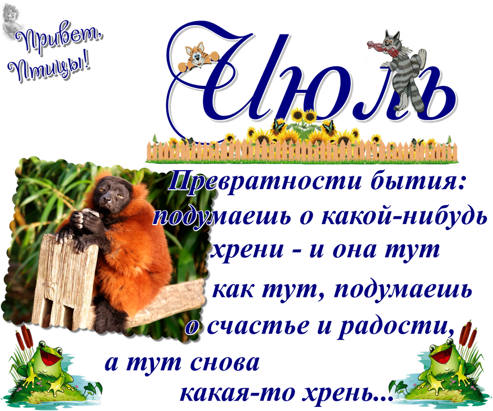 https://i.postimg.cc/PrYDMKwH/24-07.png