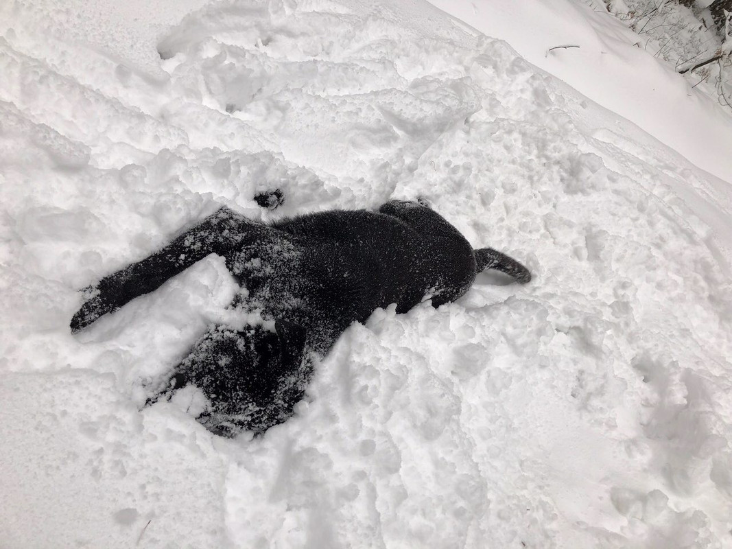 B3427340-077D-46AF-AC55-4AB03A67FFA5