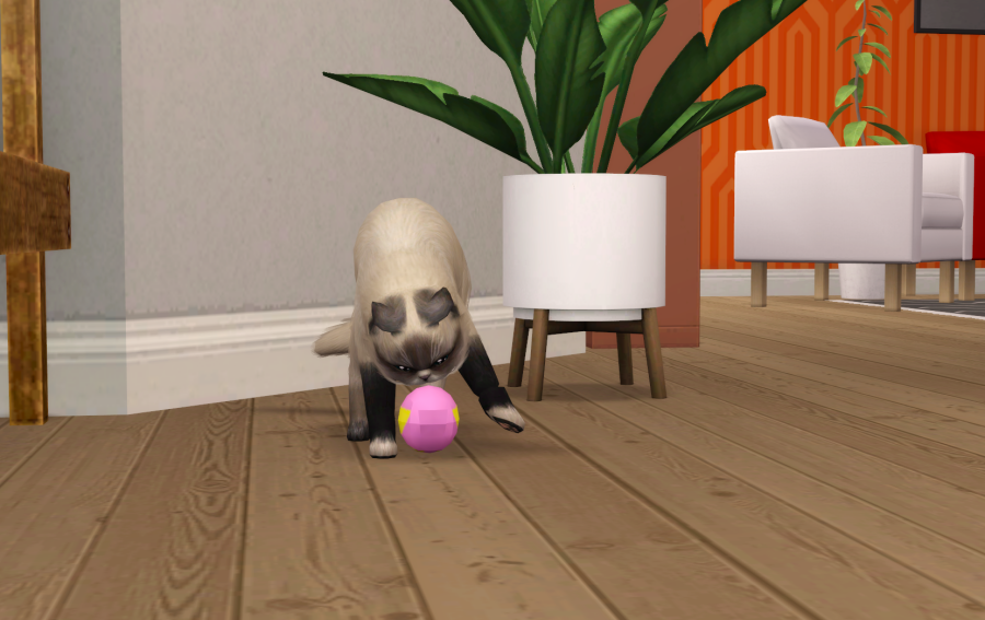 Sims2-EP9-RPC-2021-05-15-10-58-45-70