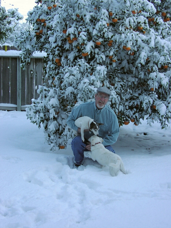 Mark&Dogs#2Send