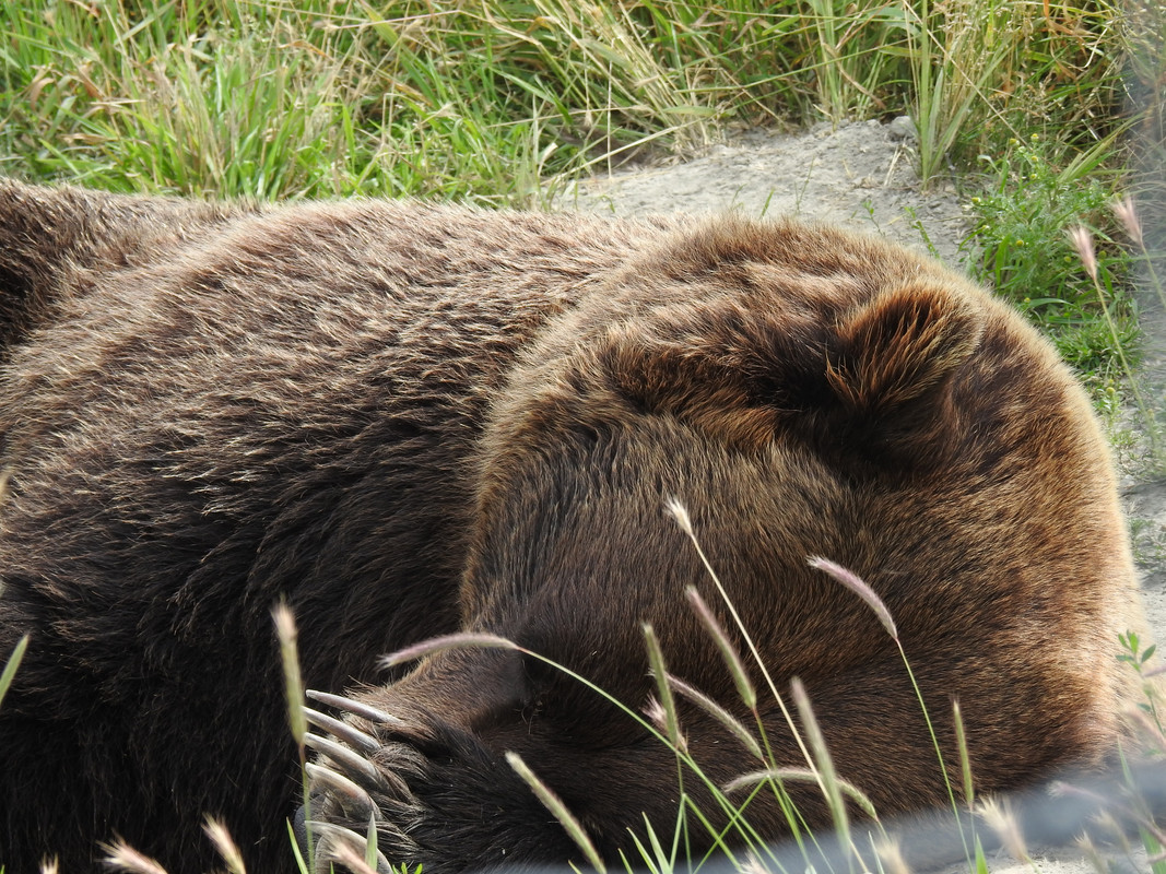 3EFFF128-5232-4EE2-AAE1-45E4D4C6F6D1