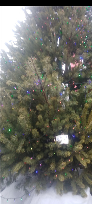 Screenshot 20260110 152432 com huawei photos