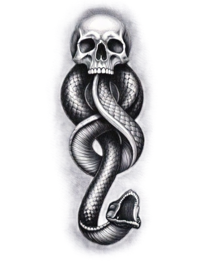 a skull with a snake wrapped around