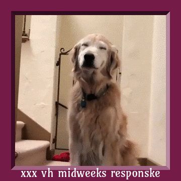 c0f1cfa30168a22c718ca76568d50881.gif