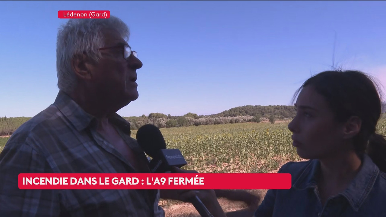 Le 16h 18h Émission du dimanche 05 juillet 2026 mp4 snapshot 01 00 54 000