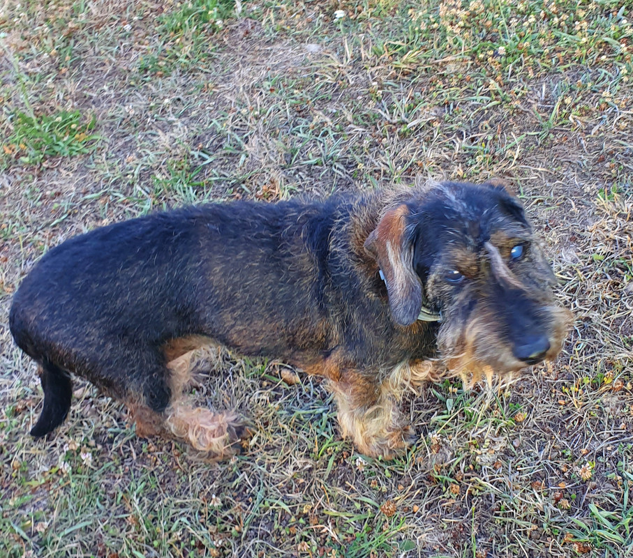 [Image: 20220713-233506.jpg]