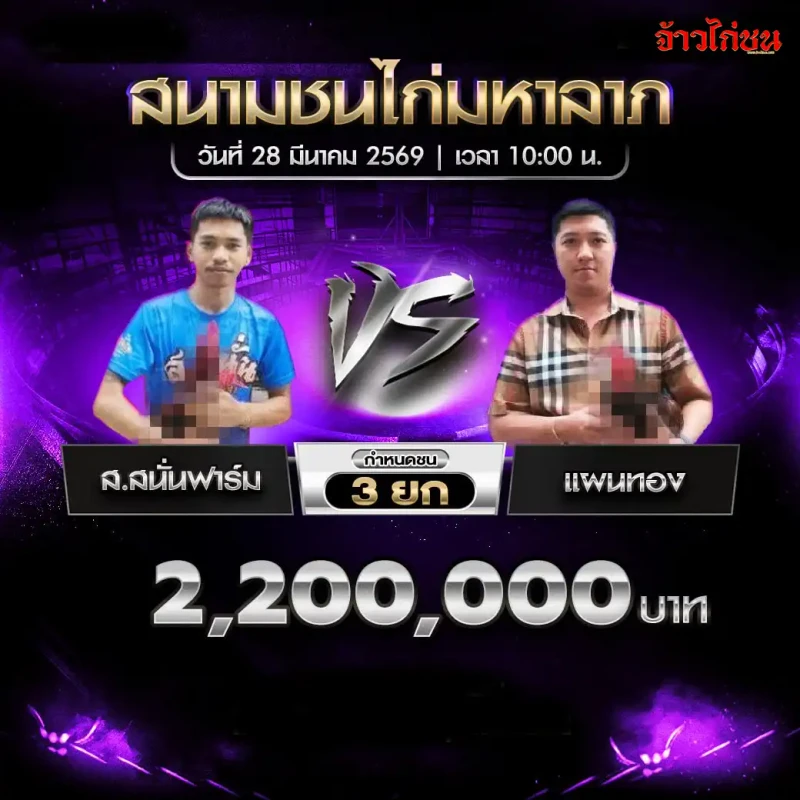 โปรแกรมไก่ชน คู่ ส.สนั่นฟาร์ม พบ แผนทอง วันที่ 28 มีนาคม 2569