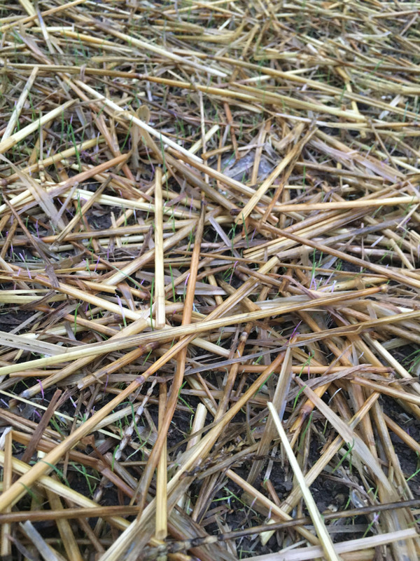 EDFFAAEA-94D1-4195-A8D6-9E457D4C311D