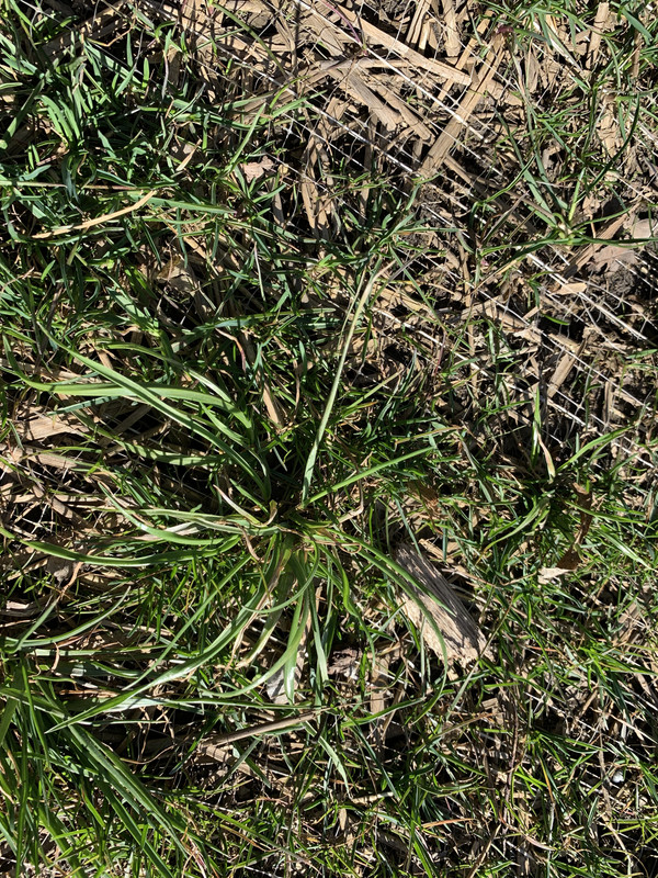 B9BAB721-8039-4D60-8921-C72C30DF7B5C