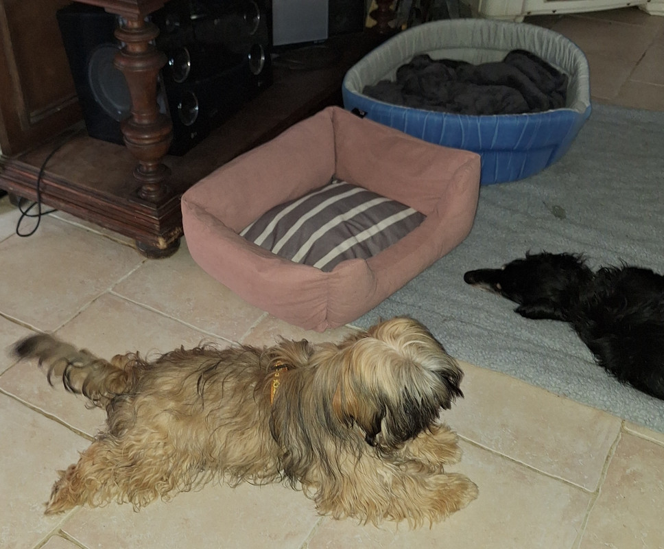 [Image: 20240106-141838.jpg]