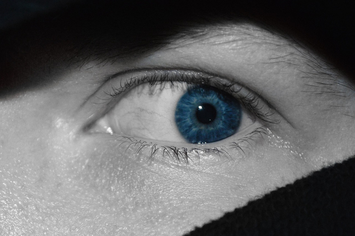 close-up-3497989-1280.jpg