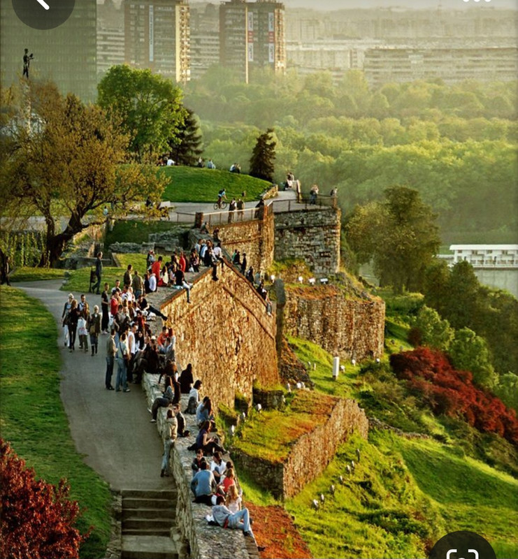 Screenshot_20231119_094108_Pinterest