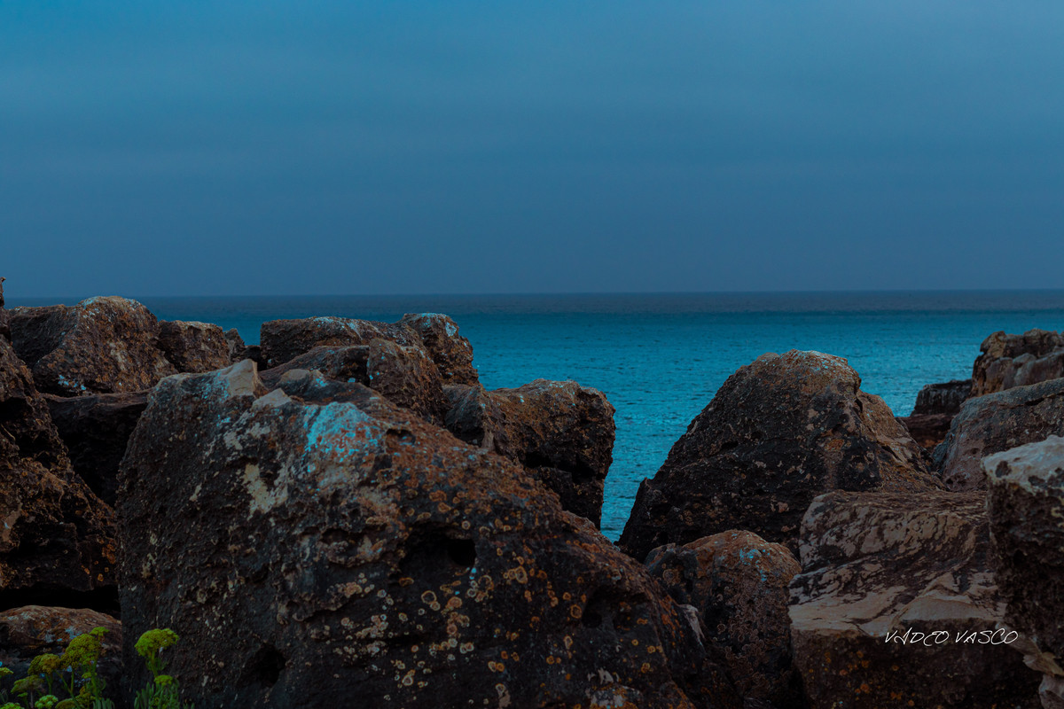 HIve-Boca-Inferno-1-14.jpg