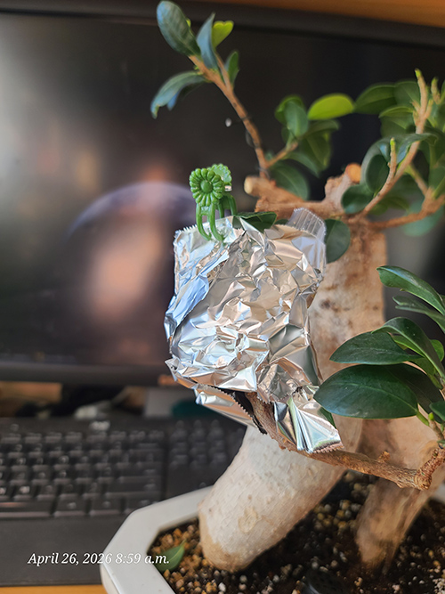 [Image: 20260426-085911.jpg]