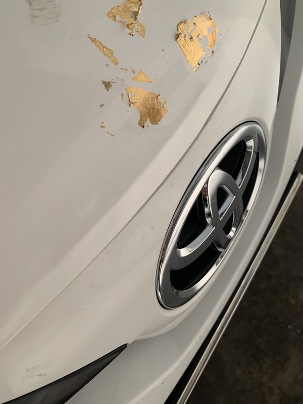 54874360-95B1-468E-9BC3-823B3EB4F441