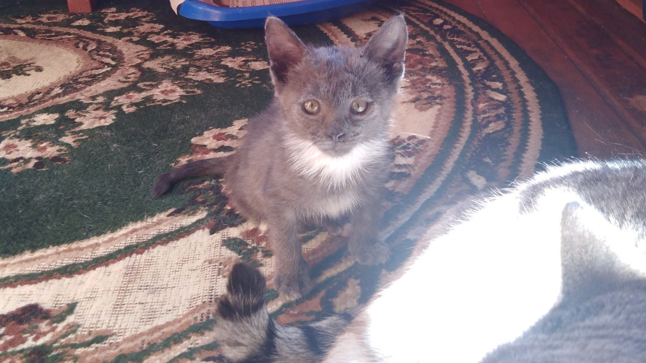 C614730C-8B77-4402-96F2-75EE2DC316B5