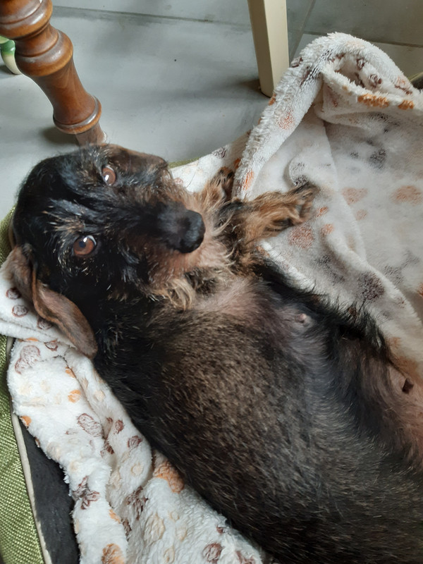 [Image: 20230103-120249.jpg]