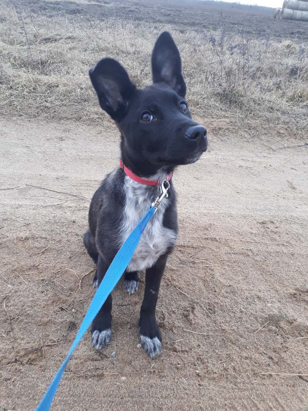 изображение_viber_2020-02-24_19-03-19